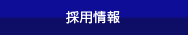 採用情報